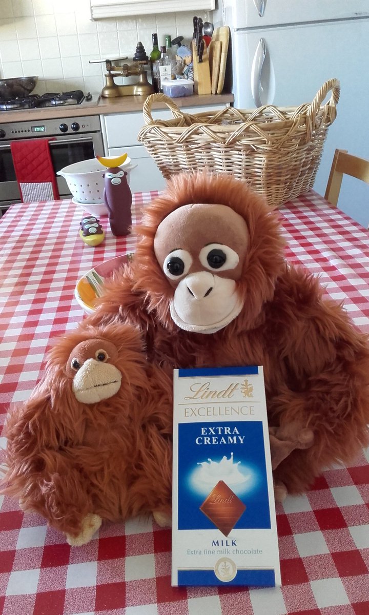 On #WorldChocolateDay we hope that everyone gets an #orangutanfriendly treat!