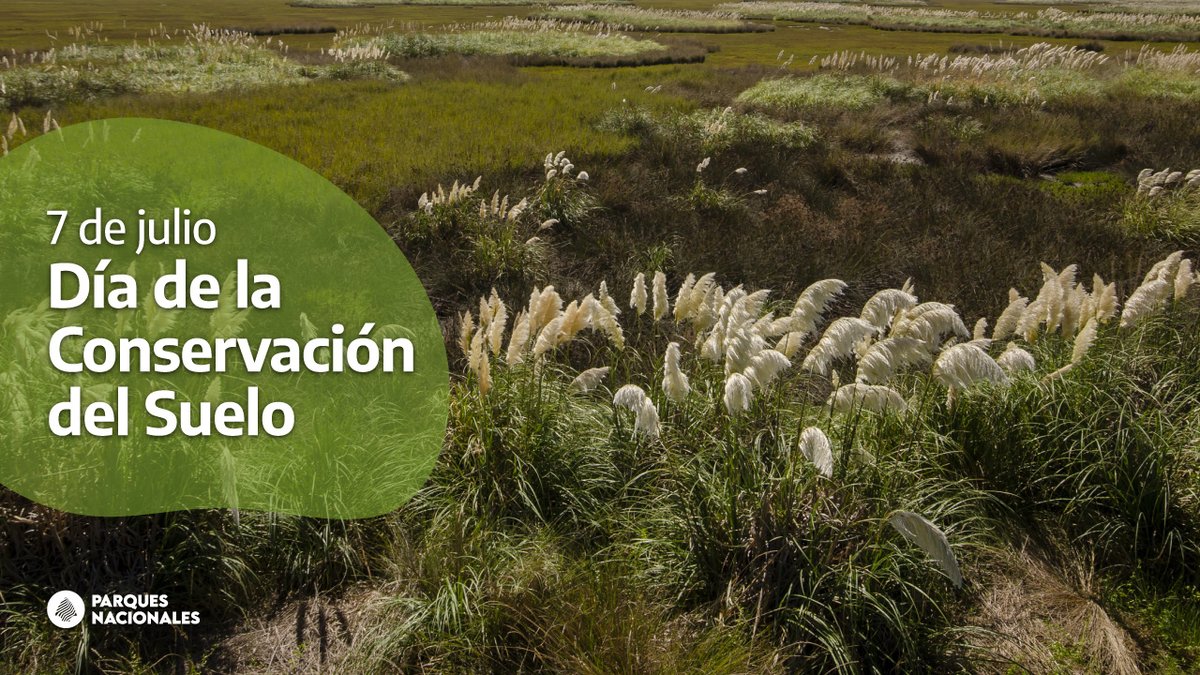 ParquesOficial's tweet photo. 🗓️ 7 de julio - Día Nacional de la Conservación del Suelo 

🌱 El suelo es sustento de vida, desarrollo y producción, es nuestra responsabilidad cuidarlo, fomentando actividades que influyan positivamente sobre su uso, como las buenas prácticas agrícolas. 

#ParquesNacionales https://t.co/Rj7P7pbtak