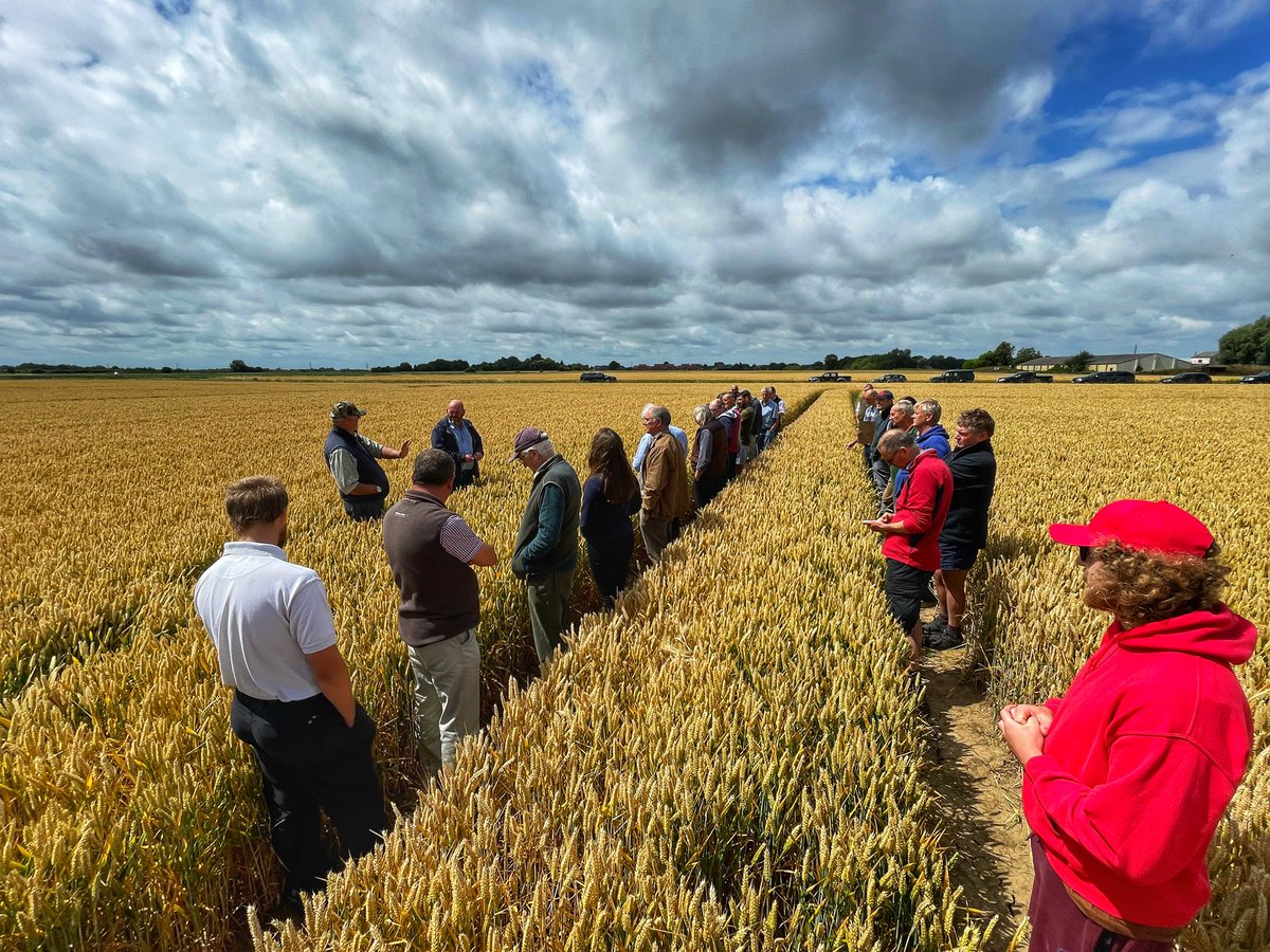 Ana Reynolds tweet media