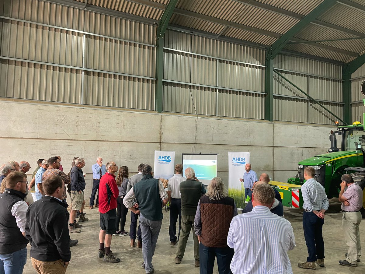 Ana Reynolds tweet media