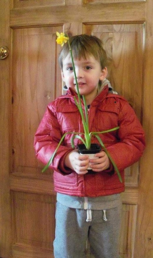 bexroff's tweet photo. @AlbertPyeSchool @VivianSale @netkersh The 1st picture is of Sidney in Nursery when he brought his daffodil home he planted an apple pip with it. The 2nd picture is 8 years later with his apple tree https://t.co/Xtg9FQpUxr
