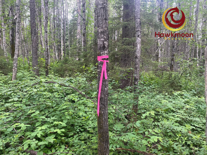 HawkmoonRes's tweet photo. Some pictures of the Trenching Program currently taking place on Wilson 📷

***
Quelques photos du programme de creusement des tranchées ayant lieu en ce moment sur Wilson 📷

#miningindustry #miningexploration #trenching #wilson #abitibi #quebec #pennystocks #goldstocks $HM https://t.co/COE3Xz0DEb