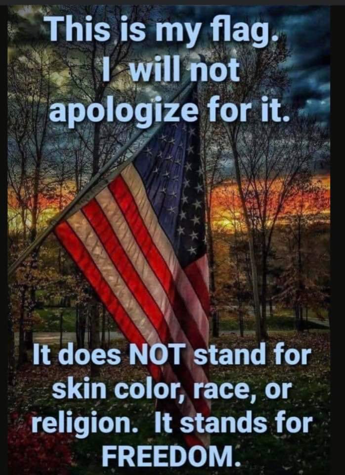 DarkGamerGirl6's tweet photo. This IS our Flag!!! #ProudToBeAnAmerican #NotACommie https://t.co/DnsDxoHmOV