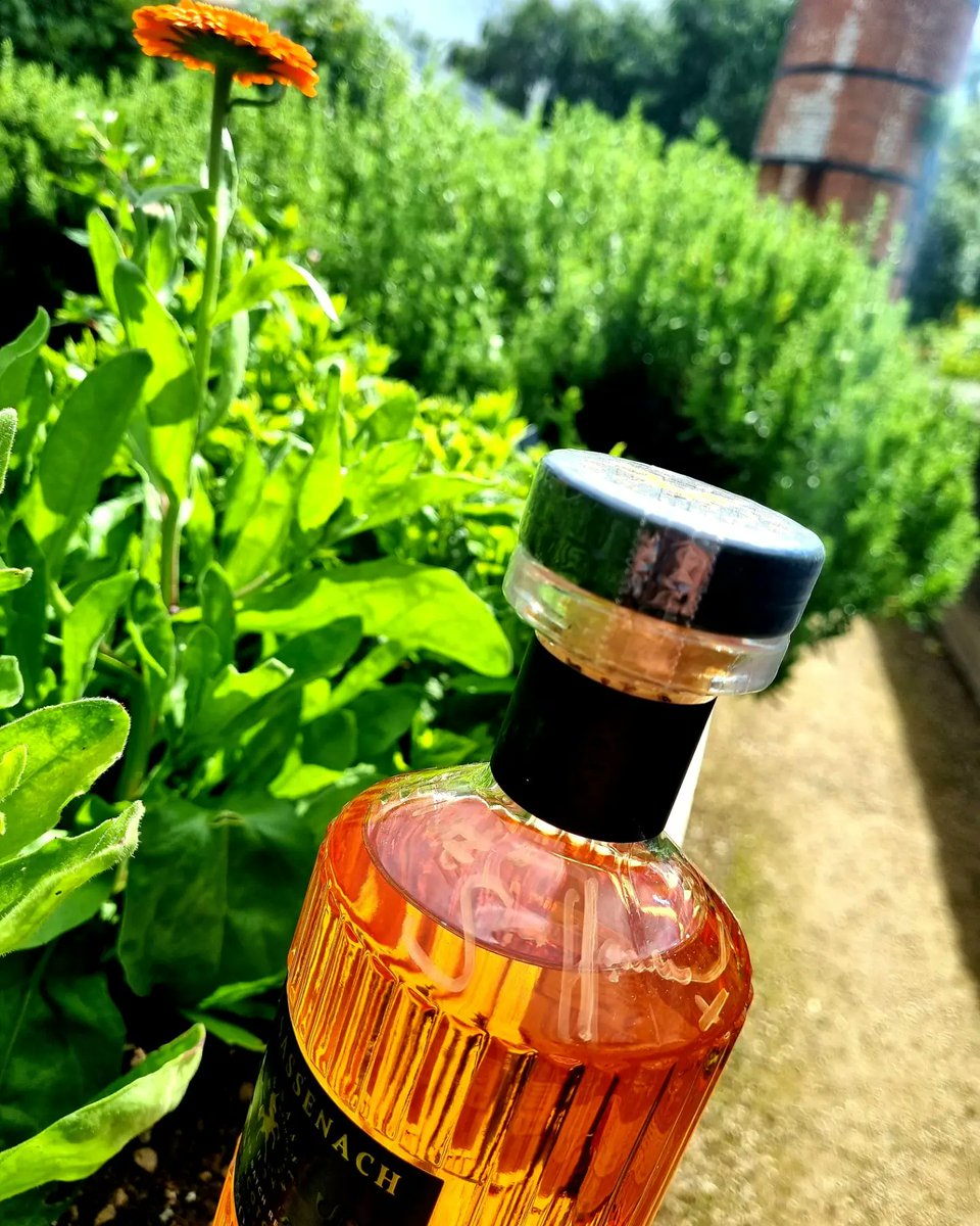 Wooohoo! 🙌 Got a bottle of my favourite easy sipper signed. 💃🥳

 Hope you enjoy my 🥃samples.😆 <a href="/SamHeughan/">Sam Heughan</a>

<a href="/SassenachSpirit/">Sassenach Spirits</a>  <a href="/GreatGlenCo/">GreatGlenCompany</a>
#Sassenachwhisky #Sassenachspirits #sassenach #SamHeughan #whisky #highlanders5 #Glasgow #Outlander