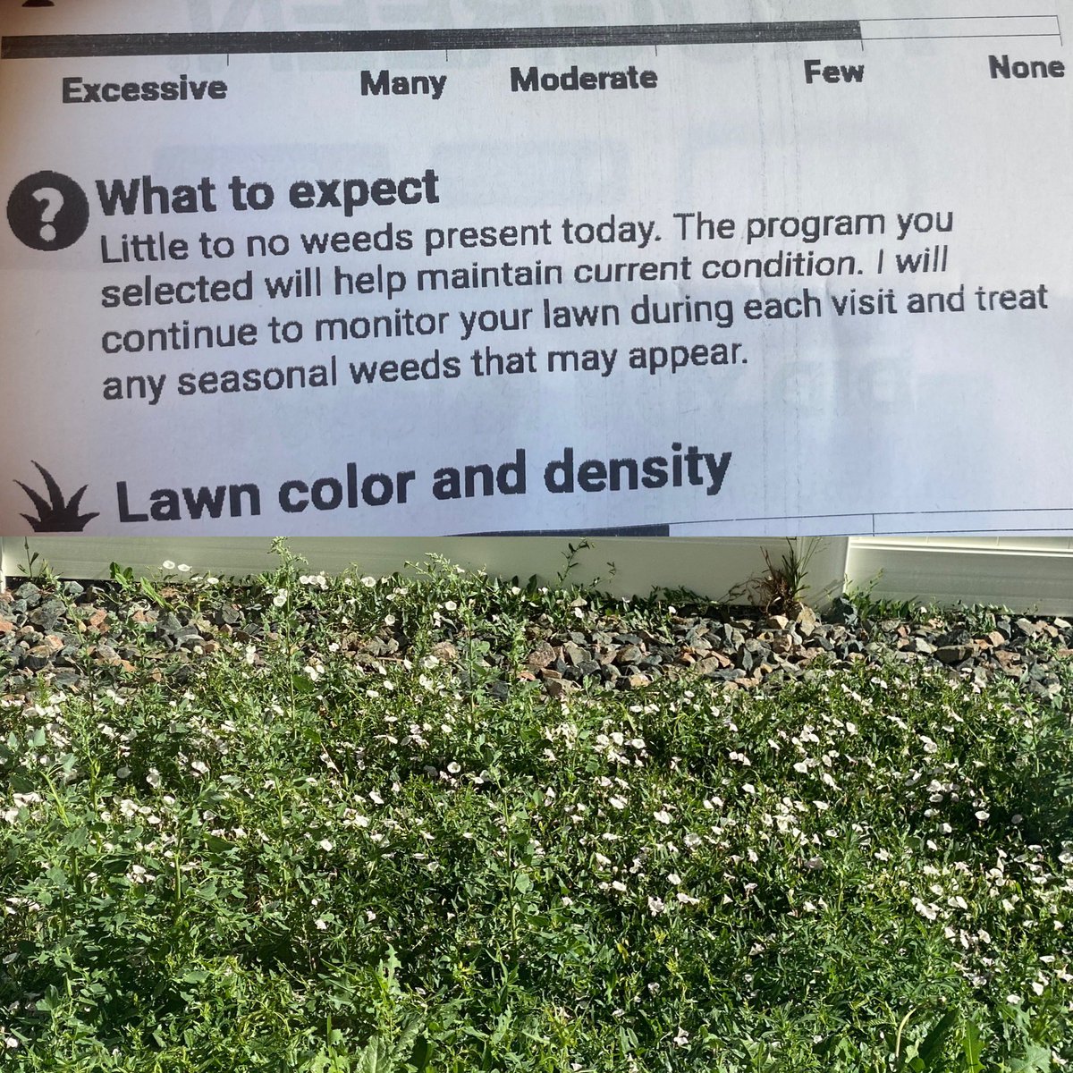 Dear <a href="/TruGreen/">TruGreen</a> - I’m not feeling confident in your services right about now. Tech was in and out in TWO minutes. And his report was a joke. Here’s a snippet.