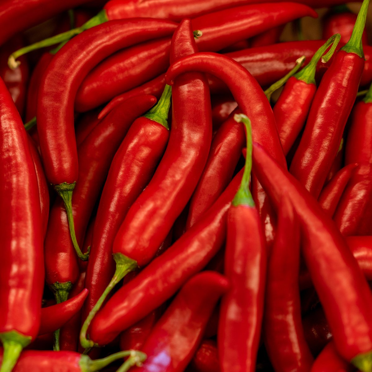 Fresh Direct tweet media