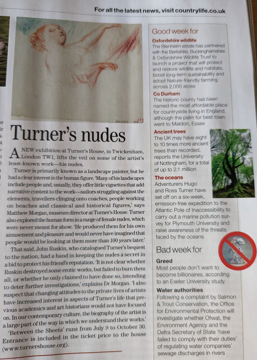 Turner's House tweet media