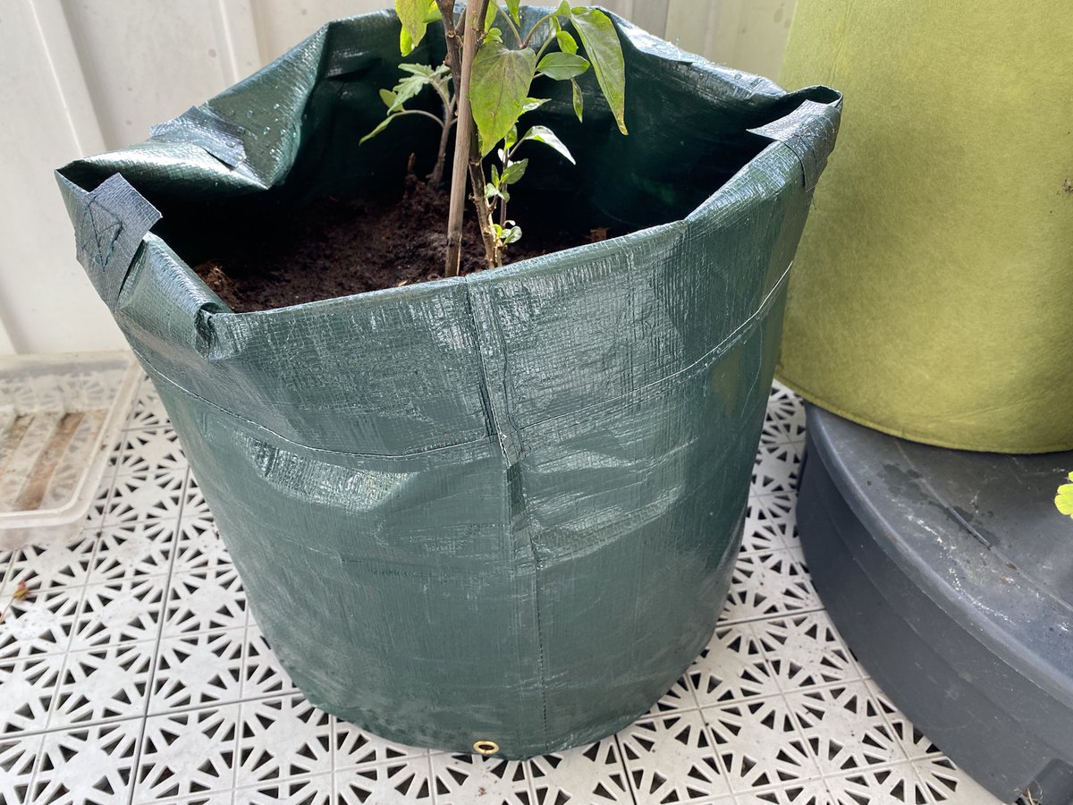 vendicti's tweet photo. Tips till er som har balkong, odlingssäckar! Mkt bra. #balkongodling #vikt #odlingssäck #tipsar https://t.co/3SbU1fthPT