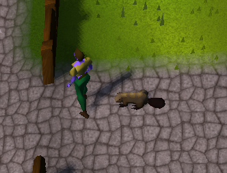 Doughnutholesx's tweet photo. Got it at 33 WC :D Bless RNG gods
#osrs #oldschoolrs #runescape #rspets #pets https://t.co/mQ8hbaPlYi