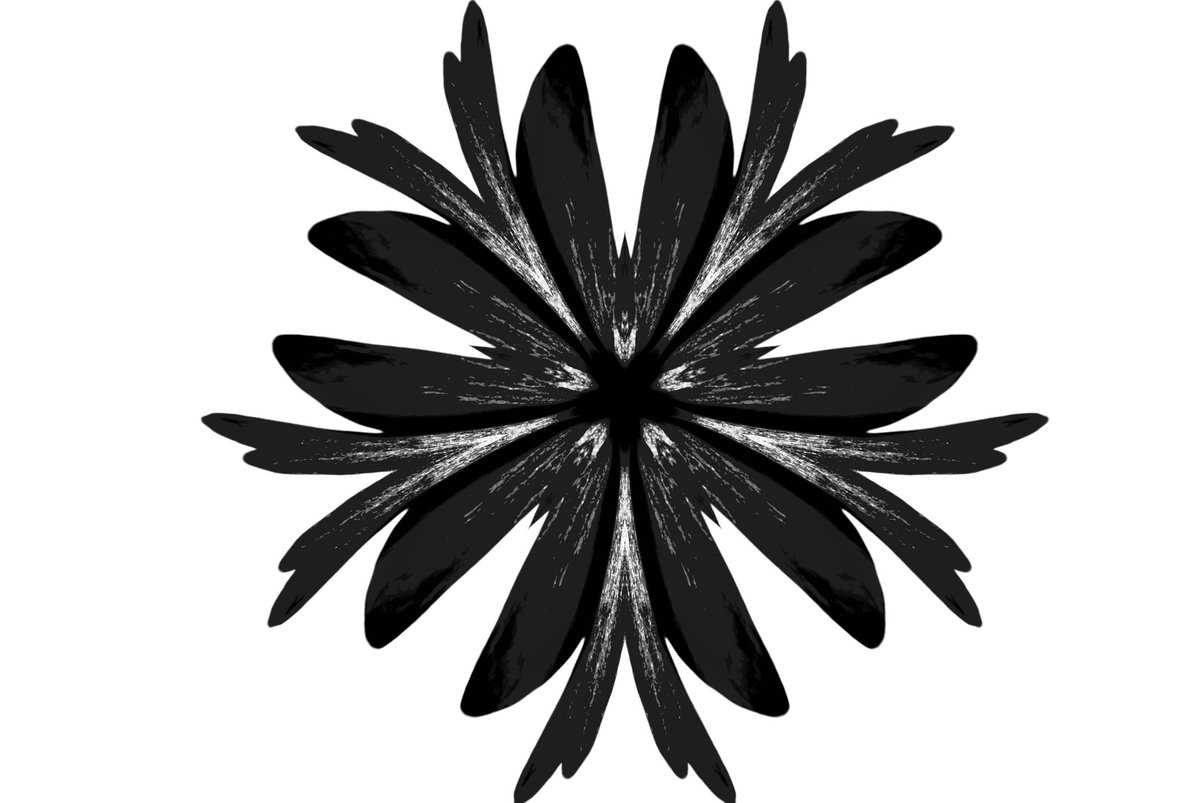 etsyfung's tweet photo. Flower https://t.co/eWd2mFpSKN