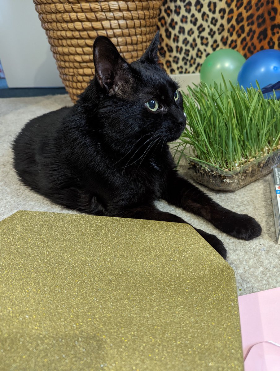theBlkCat's tweet photo. What's dis for? https://t.co/jR0oAhAg9z