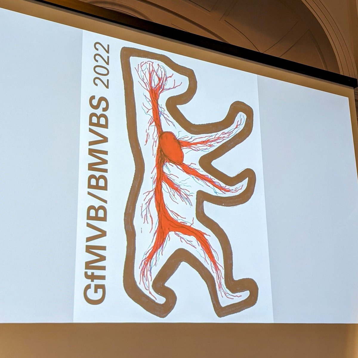 SimonTupin's tweet photo. In Berlin for the joint #GfMVB #BMVBS meeting!
#microcirculation https://t.co/VSDpuyuqKS
