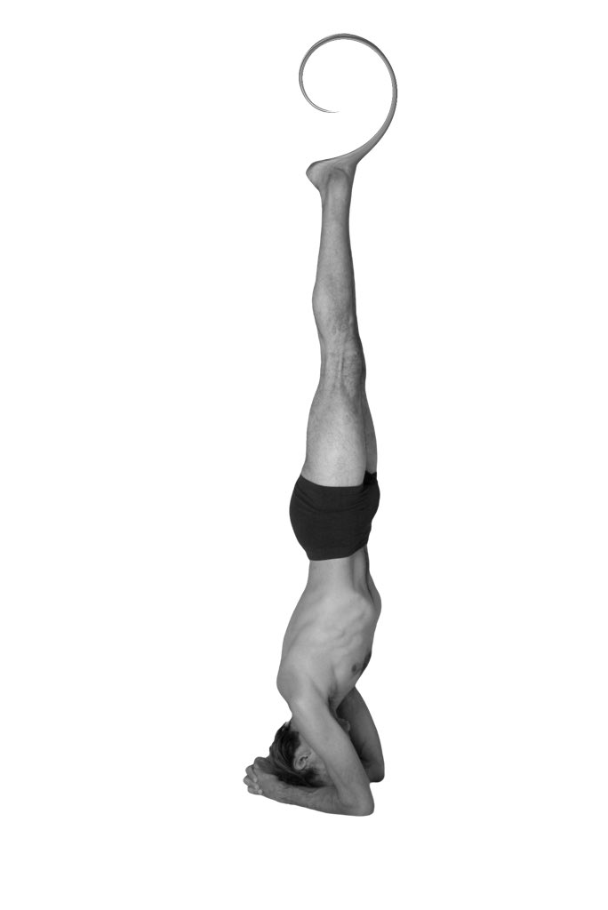 etsyfung's tweet photo. #yoga https://t.co/cLznfZiqWE