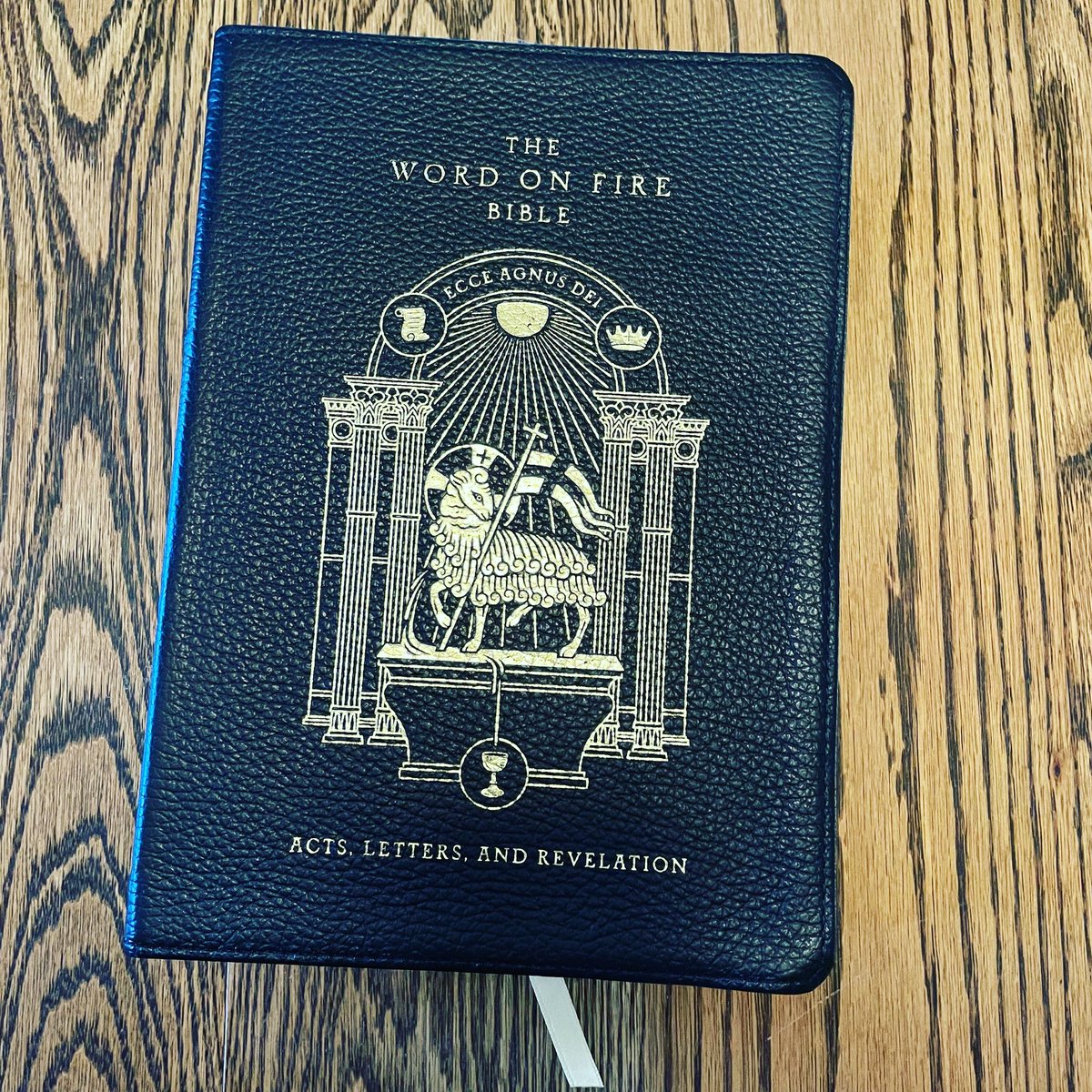 CristinaBerry10's tweet photo. The Word on Fire Bible (Volume II): Acts, Letters, and Revelation #beautiful 
#whatimreading 
#summerphotochallenge
#bhsummer22 @BustedHalo @WordOnFire @BishopBarron https://t.co/PPqp8tn7DP