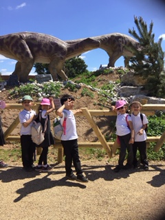 mountpleasantps's tweet photo. Year 1 had a fantastic trip to Yorkshire Wildlife Park. We bumped into lots of carnivores and talked about lots of the animals being mammals. We saw polar bears, tigers, some lazy lions, baboons, giraffe, sea lions and even DINOSAURS!!! https://t.co/XJ5DDjHPFE