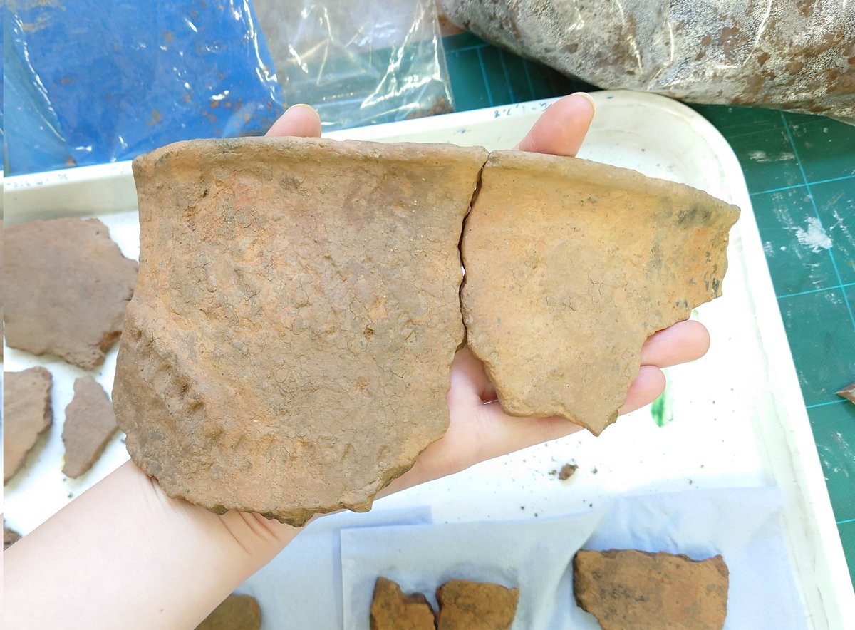 Leonieconserva's tweet photo. Still lots of cleaning to go but I'm starting to see how pieces of the #bronzeage #pottery join together! @CAERHeritage so far only one of the 6 trays has been cleaned, watch this space for more updates over the next couple of weeks. #conservation #heritage #cuconservation https://t.co/iGTFTUdtqA