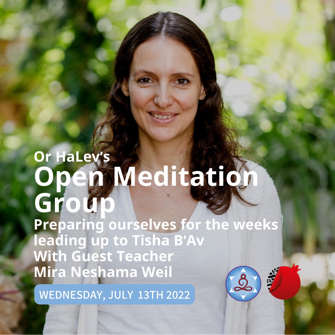 Meditation is so simple. From repetition comes transformation. And from sitting community, comes  energy! Yalla come sit with us at <a href="/orhalev/">אור הלב</a> 
Wednesday, July 13th, 2022 @ 10:15am Pacific / 1:15pm Eastern / 18:15 UK / 20:15 Israel // on Zoom
Join us &gt;&gt; bit.ly/3ynCgvZ