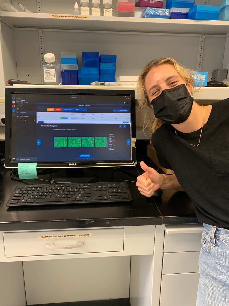 'Whale' 🐳 watching on our first UL-ONT run! @nanopore . . . #genomics #ultralong #sequencing