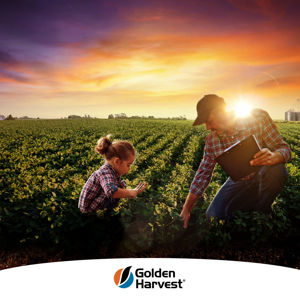 Syngenta tweet media