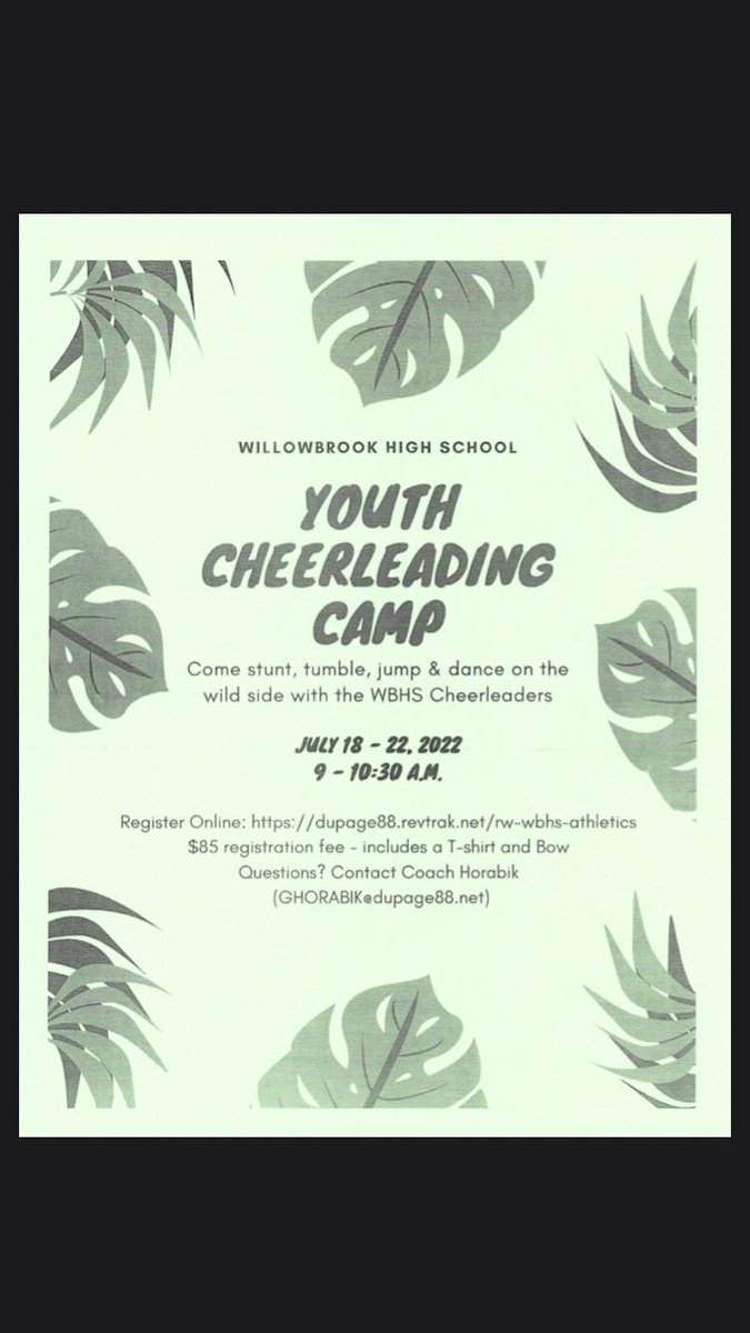 Make sure to sign up for the Willowbrook High School Summer Cheer Camp! The high school cheerleaders will teach participants Fight Song, work on tumbling, stunting and more!