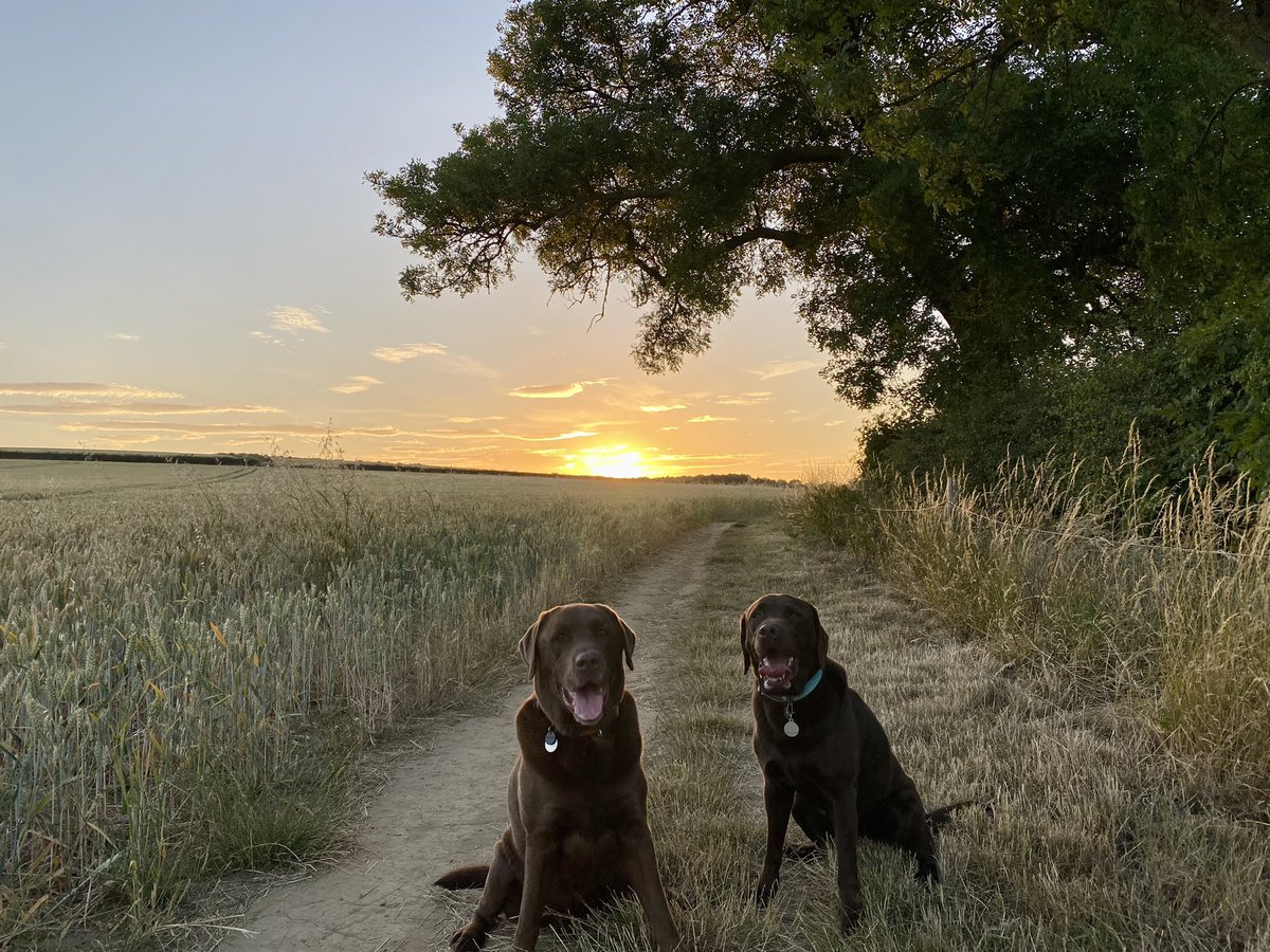 #NationalChocolateDay 🤎🤎