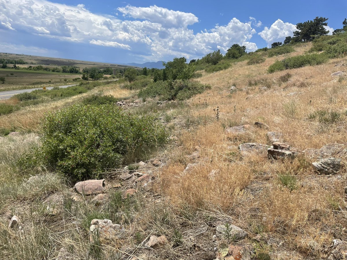 DerekJSebastian's tweet photo. Great Front Range field day today, thanks to all that made it out https://t.co/46eQbqzq6x