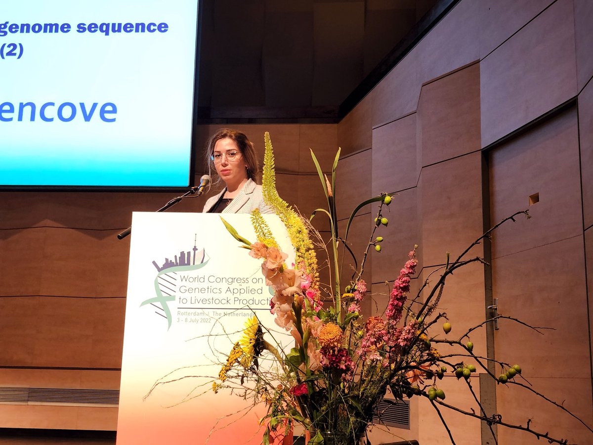 Mehrnush Forutan (@mehrnushforutan) on Twitter photo Presenting some intresting results on GWAS using WGS data at World Conference on Genetics Applied to Livestock Production <a href="/wcgalp2022/">WCGALP2022</a> <a href="/QAAFI/">QLD Alliance for Agriculture & Food Innovation</a> Presenting some intresting results on GWAS using WGS data at World Conference on Genetics Applied to Livestock Production <a href="/wcgalp2022/">WCGALP2022</a> <a href="/QAAFI/">QLD Alliance for Agriculture & Food Innovation</a>