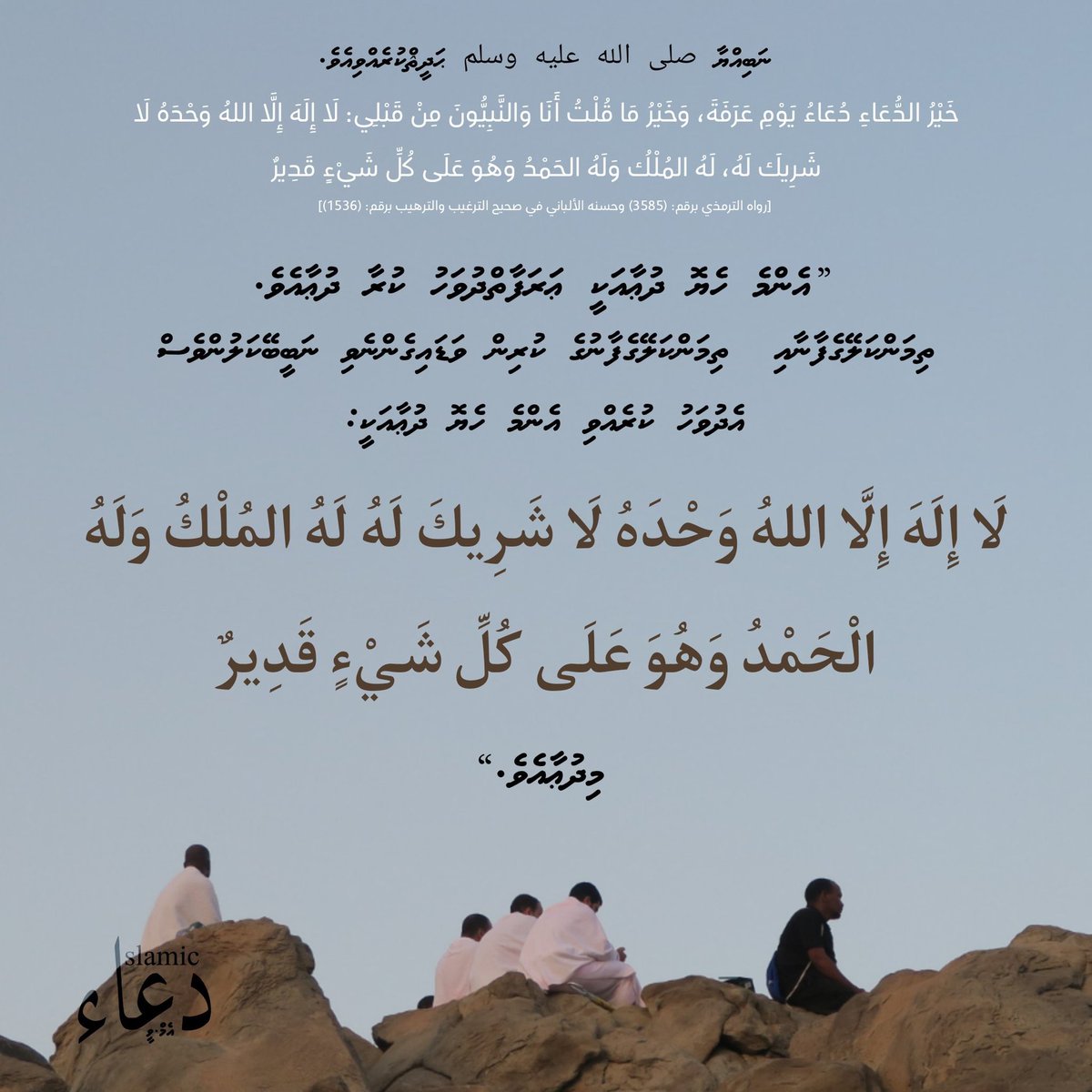 Niuma (@mariyam_niuma) on Twitter photo 