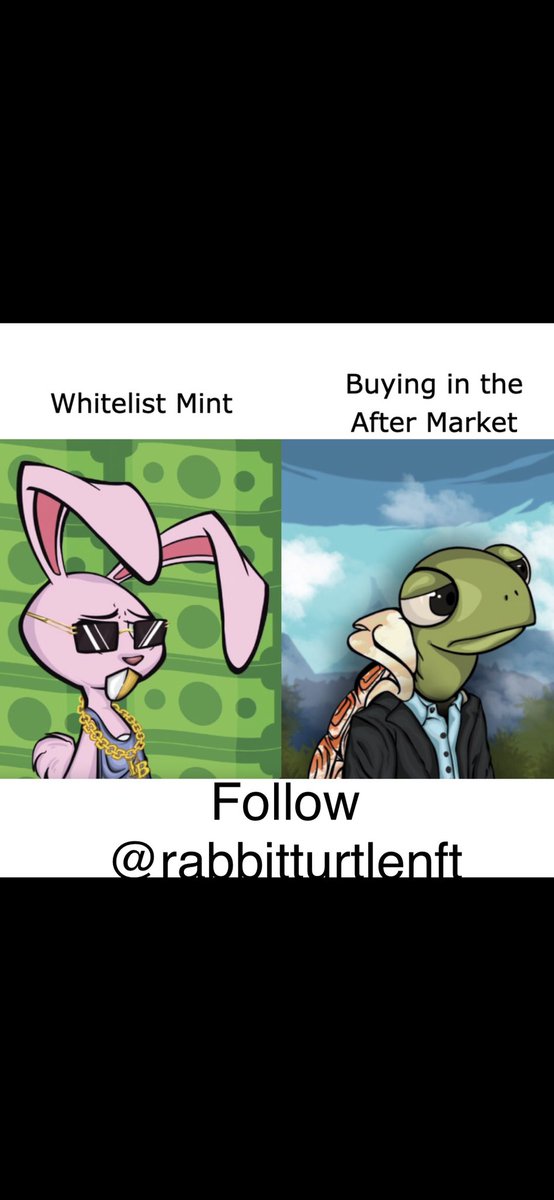 RabbitVSTurtleNFT tweet media