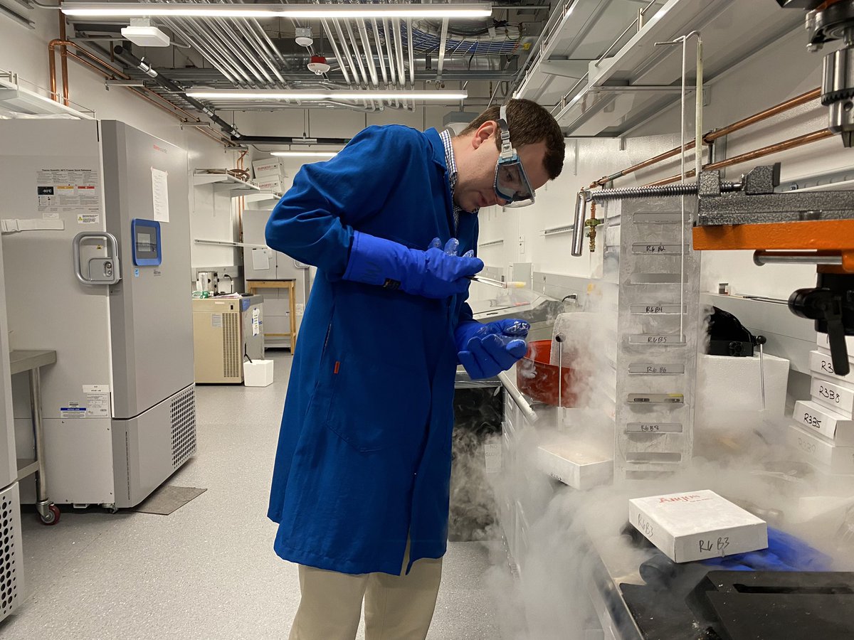 FindGenomics's tweet image. Our intern team got to shadow Shane Kennedy from the TIME lab at UCR yesterday! We got to see cells frozen in liquid nitrogen as well as his cell culture organization and process. We appreciate his time and wise words as well! #stem #lab #mentoring #happycell