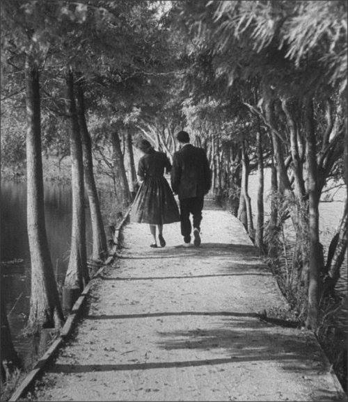 La definición y la aspiración: "Me gustaría pasar el resto de mis días con alguien que no me necesite para nada pero me quiera para todo".
Mario #Benedetti