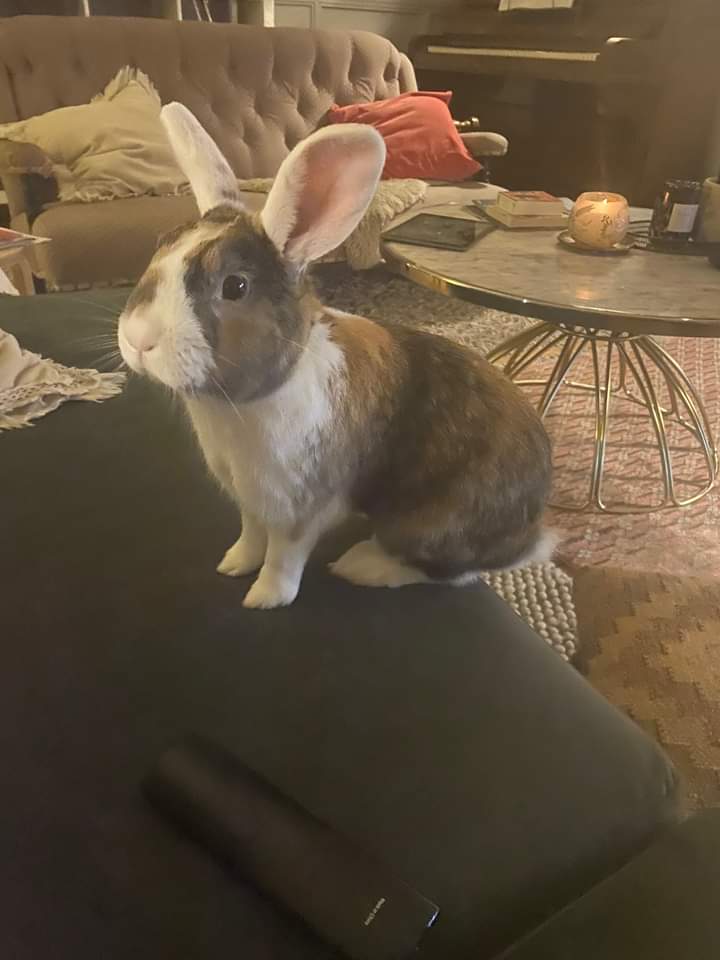 John Daffern tweet media