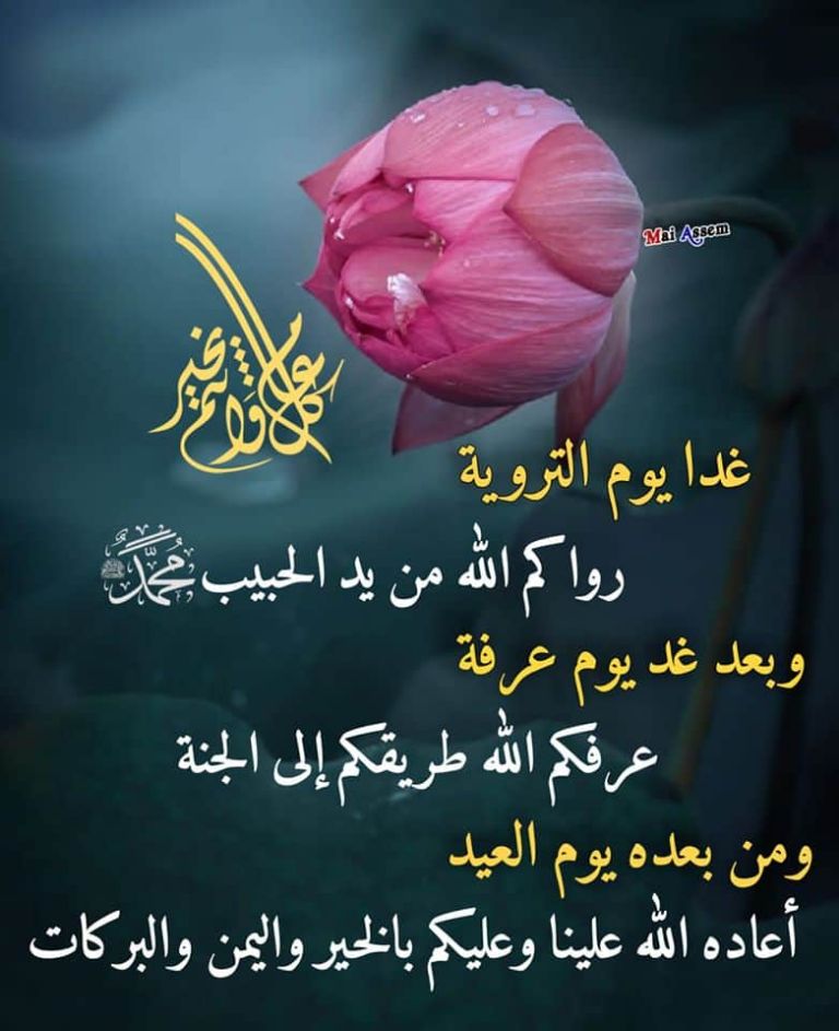 Hassan Alkhatib ❤Egypt (@hassanlove18) on Twitter photo 