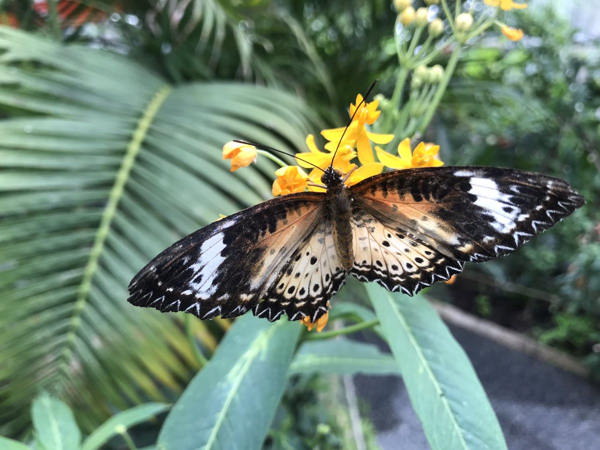 BennettTextiles tweet media