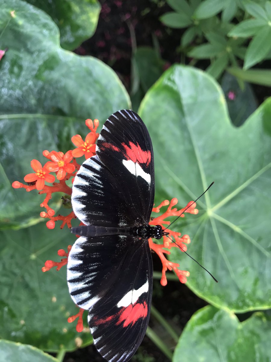 BennettTextiles tweet media