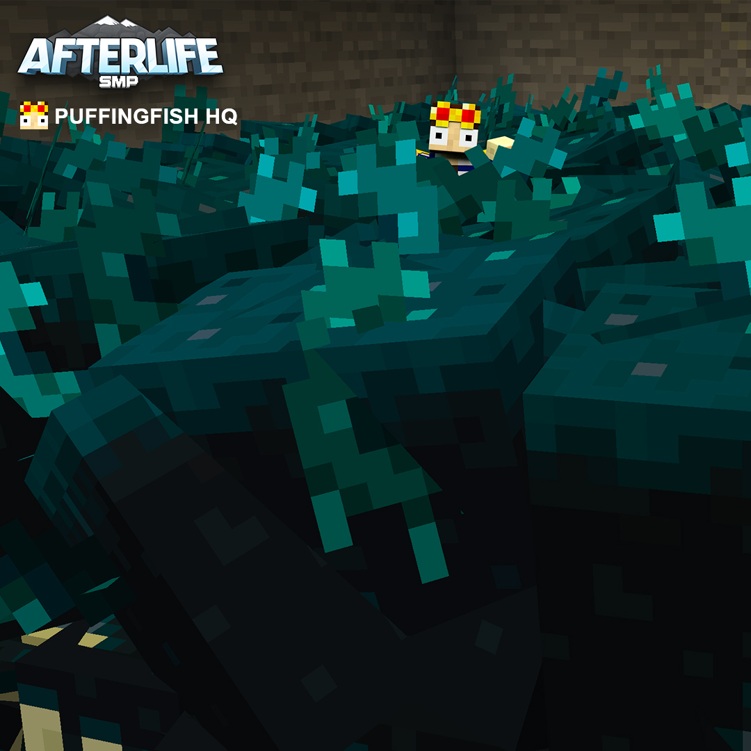 What funny business is <a href="/HqFish/">PuffingFishHQ</a> up to with all of these Wardens!?! 😱

Find out in his latest video youtube.com/watch?v=cTn6vk…

#Minecraft #AfterLifeSMP #MinecraftSurvival