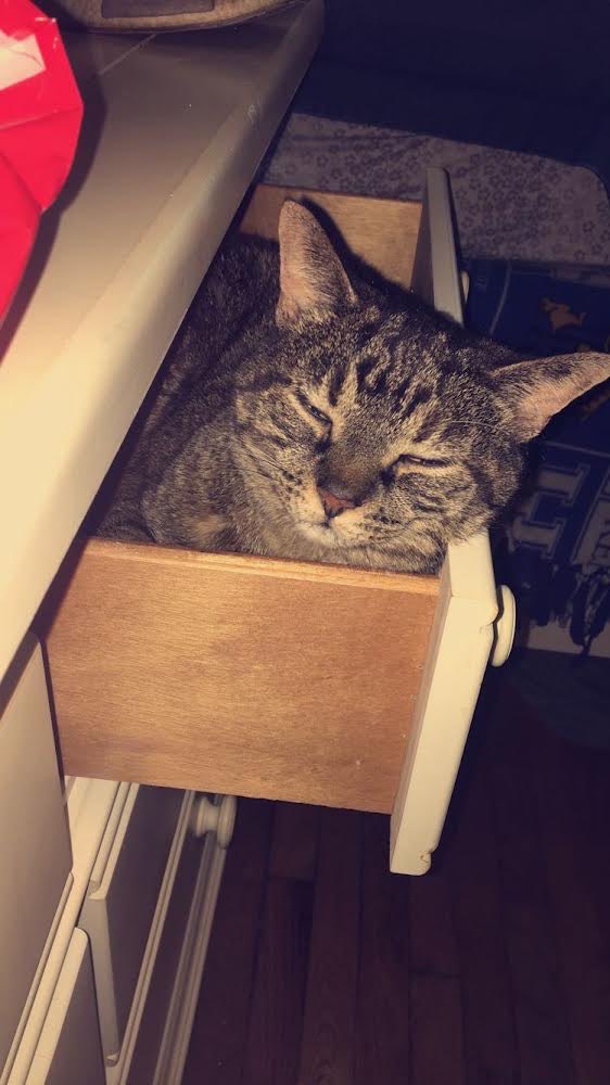 Tavs 🇰🇷 tweet media