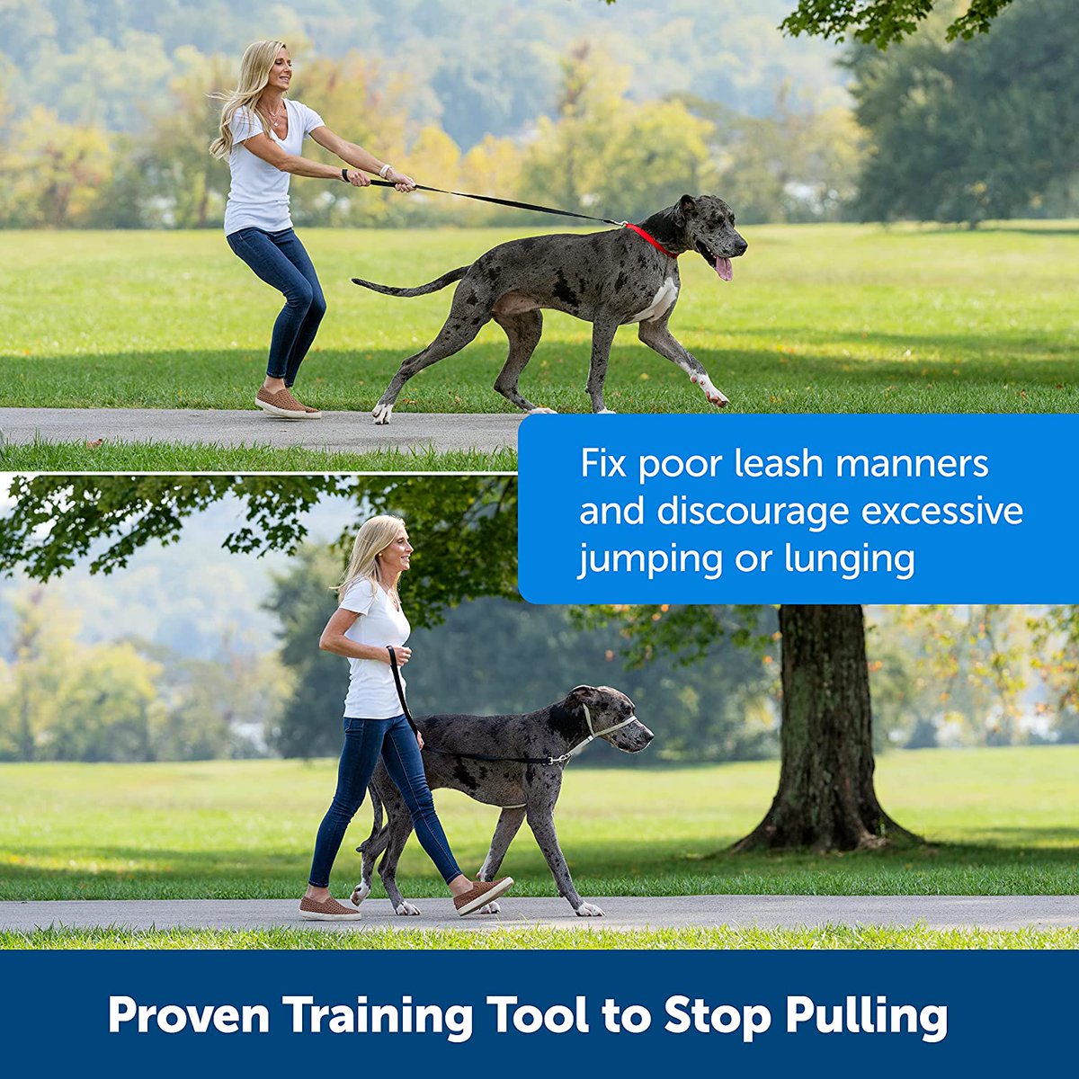 jjroth's tweet photo. Hi there! Have I got something for you. Having difficulty with your pooch? Need something to help control the little feller or fellher? Just saw this and it may be just the thing you're looking for; A PetSafe Gentle Leader Headcollar https://t.co/gFbXCDxE7x ...give you more. https://t.co/huxtwG2GE4
