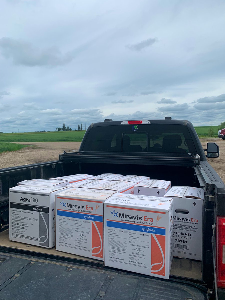 MarseuGordon's tweet image. Delivery Day NW of Brandon! Got to look at some some early Wheat for Miravis Era timing. Looking forward to seeing some #fieldperformance @syngentacanada