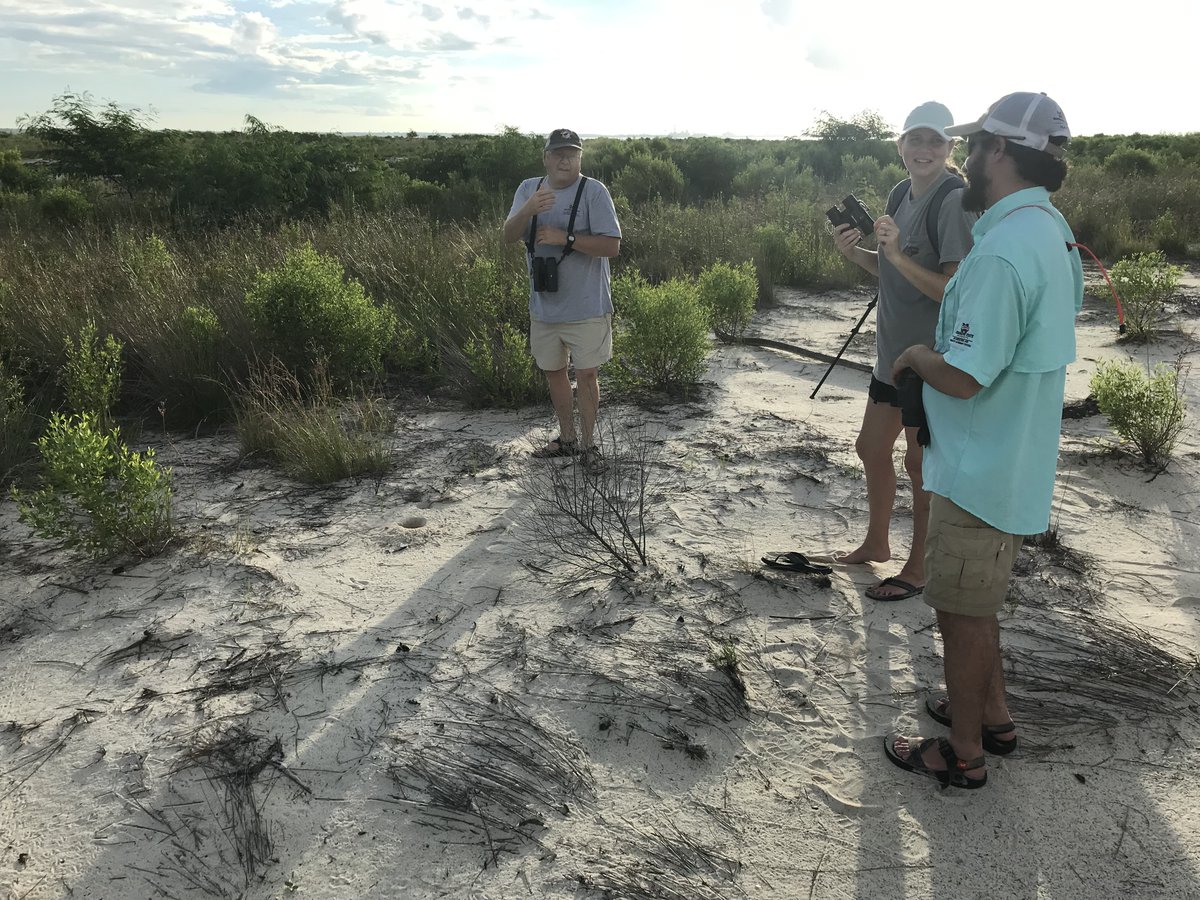 They built an island, and the plants came! Great to see New Round Island again. Lots of great birds and awesome people!  <a href="/MDEQ/">MDEQ</a> @MSU_crec <a href="/MSU_CFR/">MSU Forest Resources</a> 
<a href="/NFWFnews/">National Fish and Wildlife Foundation</a> <a href="/KristineEvans78/">Kristine Evans</a>