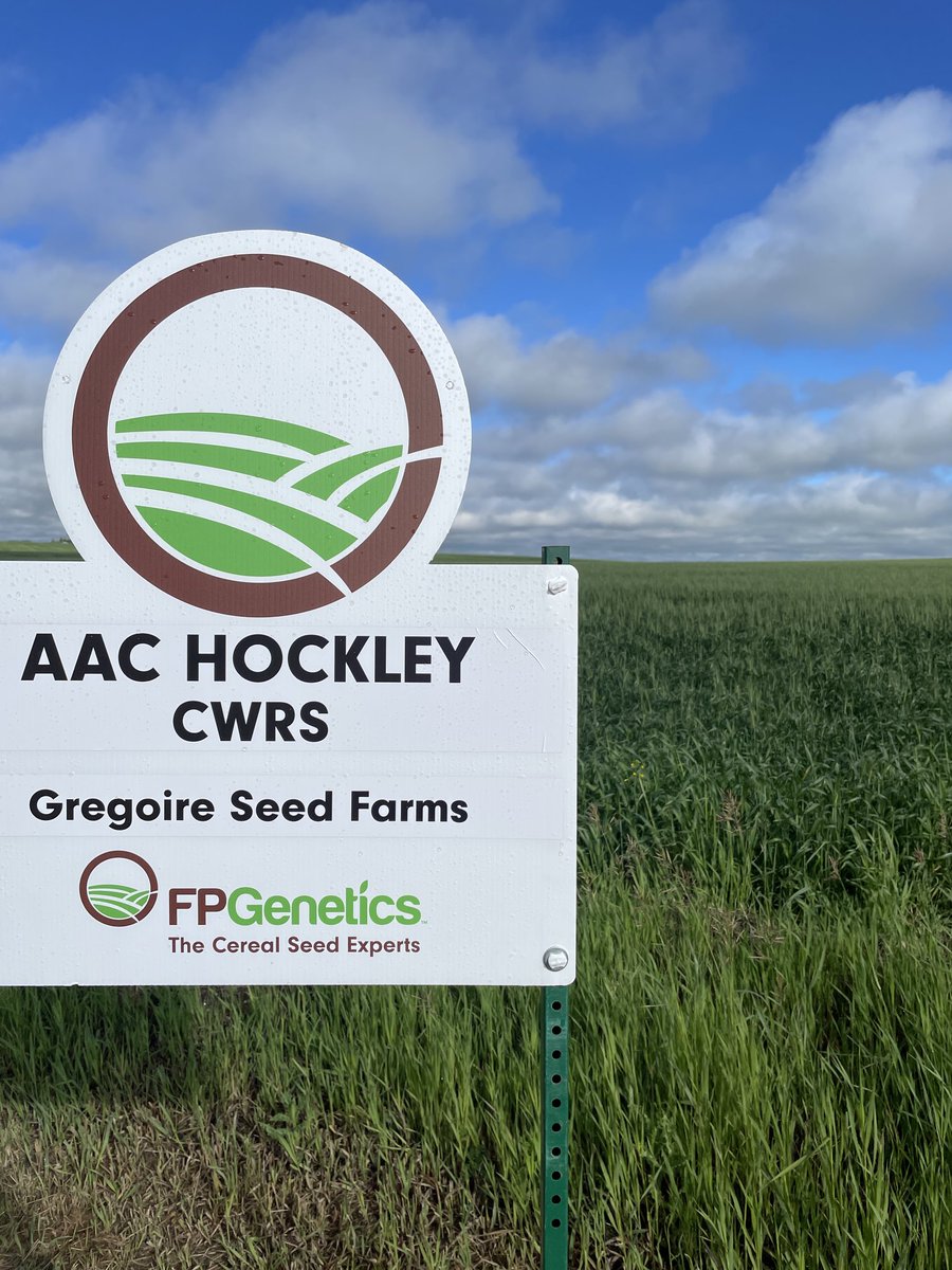 CordonGeisam's tweet photo. Take your pick #CDCSilas or #AACHockley @rorygregoire13 from ⁦@FPGenetics⁩ #bookcertseednow. https://t.co/WhdJB6dVYp