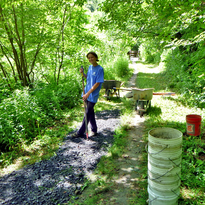 Have graveled in and smoothed out the mysterious collapse that appeared across the Johnnie Brook Trail earlier this summer. Sure looks like it was a tunnel - the size of a rabbit or groundhog - and the roof just fell in. First time I've seen that!