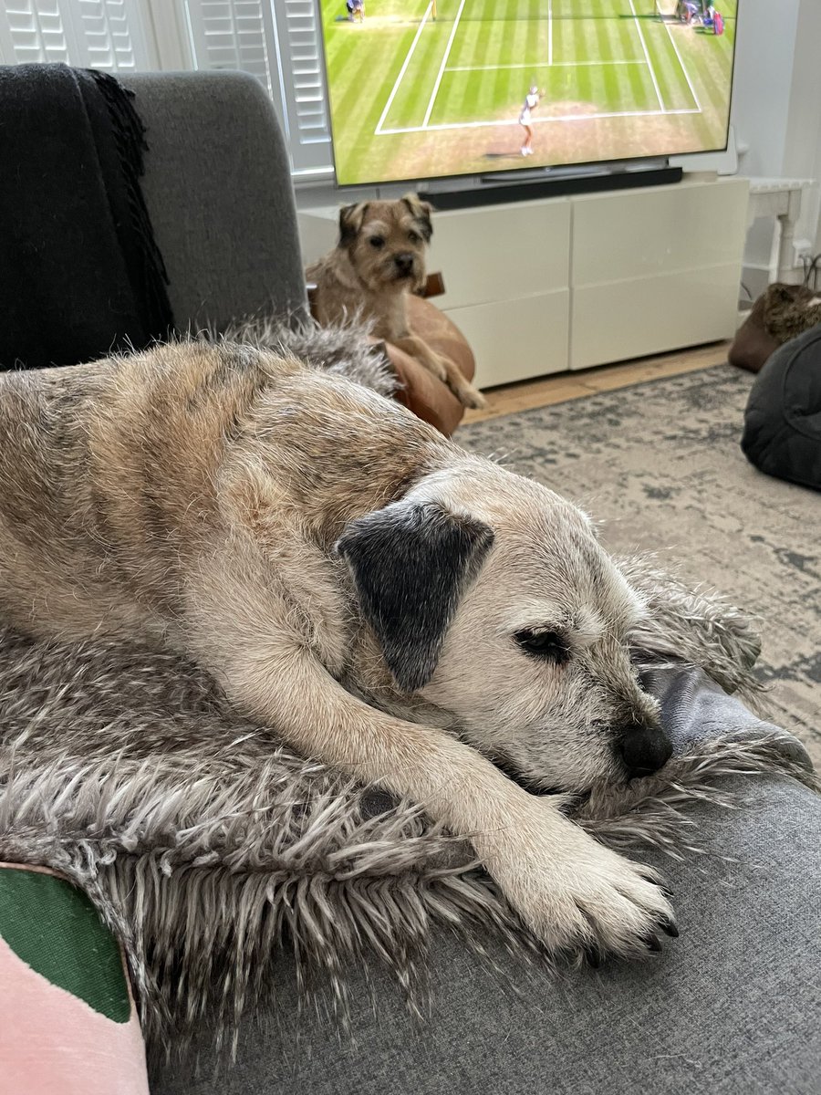 Thank-you @AriGoldBT it was good hanging out with you. You are indeed a legend ✊ 🐶😊#BTPosse