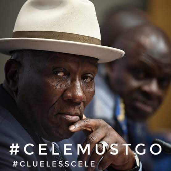 kevinqalexander's tweet image. 