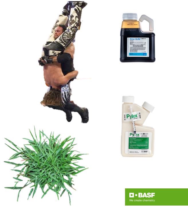 Have u tried <a href="/BASFTurf_us/">BASF Turf US</a> Pylex +Drive XLR8?  We call it the Pyledriver great on weeds this time of year!!!!