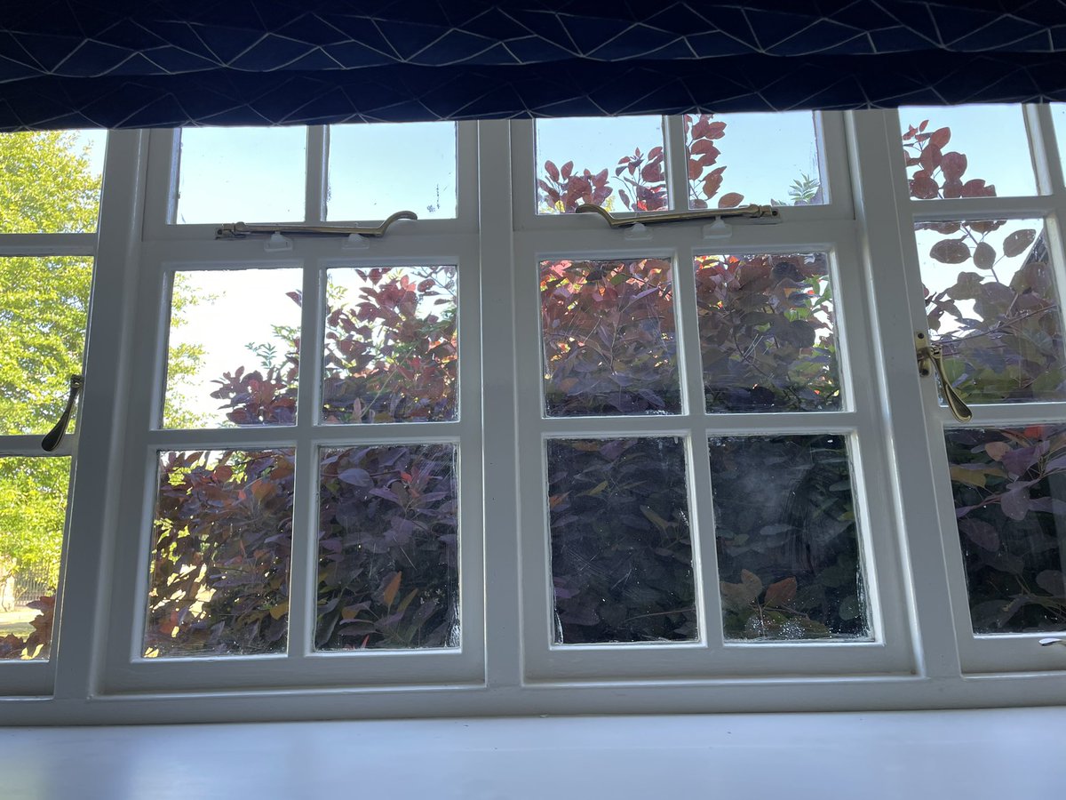 Chris Davies tweet media