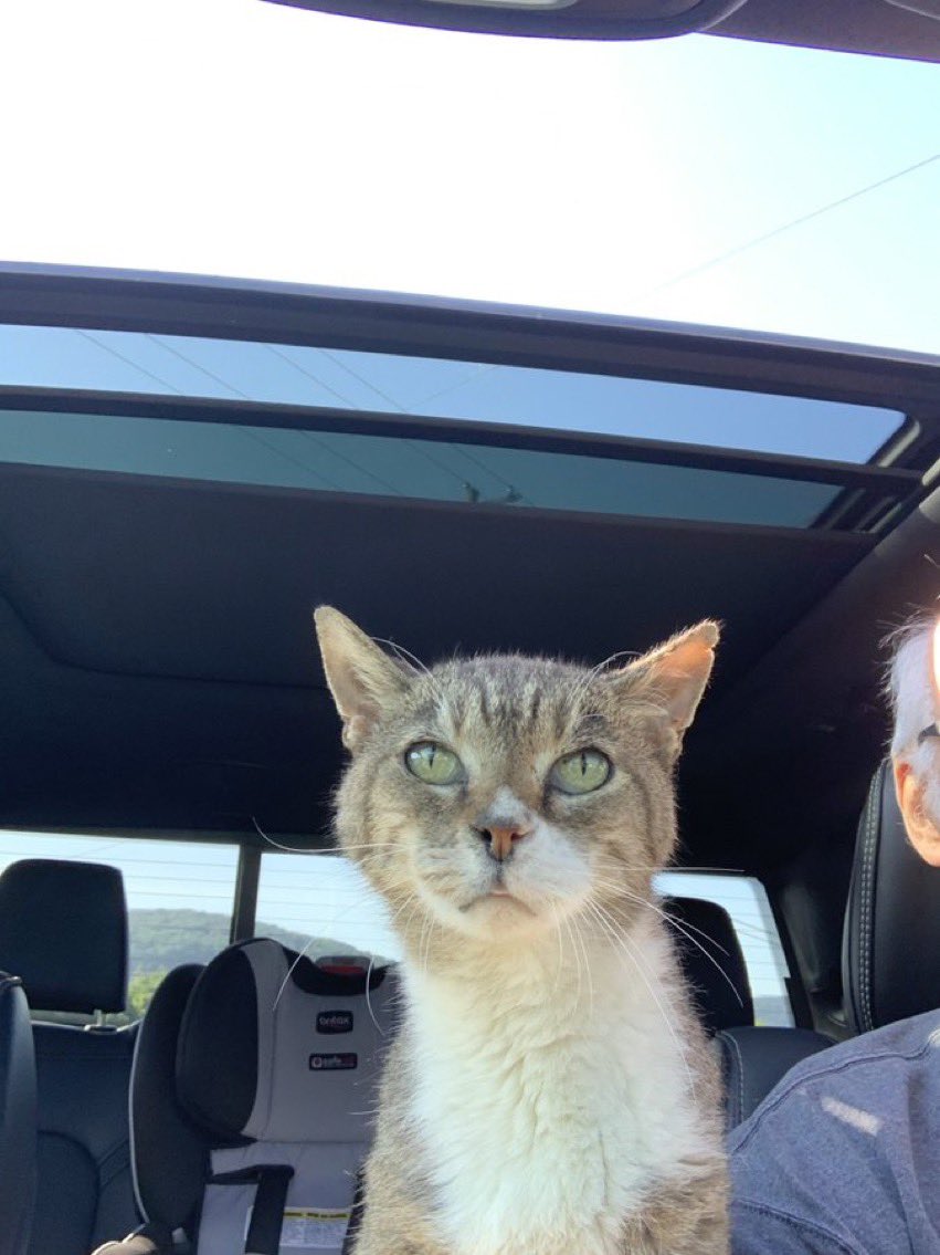 🇺🇸 Ed Hunter tweet media