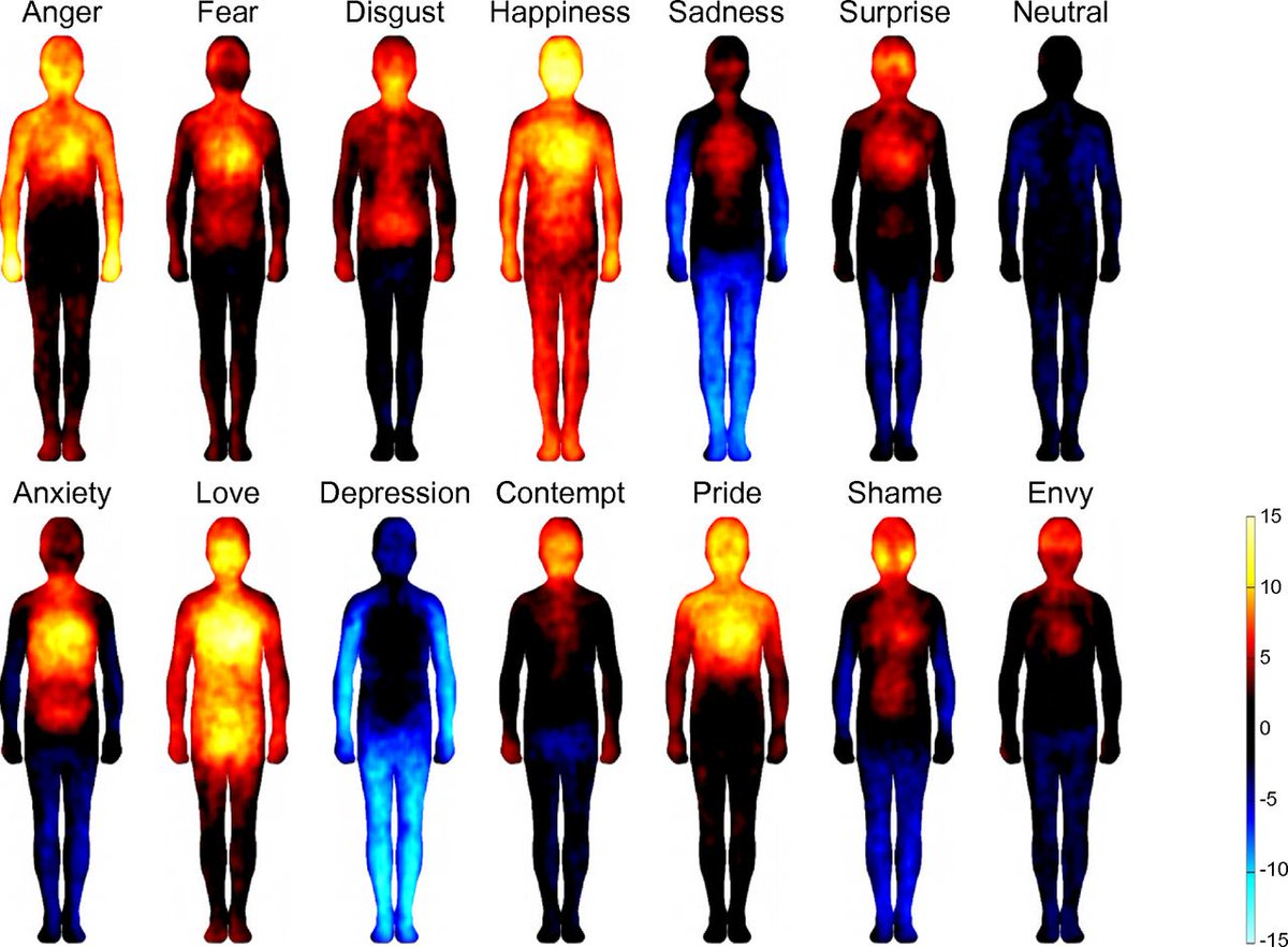 wdmorrisjr's tweet photo. I ran across this study that looked at how your body reacts to different emotions.

Specifically, where in your body you feel things.

They produced this heat map. 

Yellow is high activation. Blue is low. 

Fascinating visual. What stands out to you? https://t.co/SYKVBrvbbd