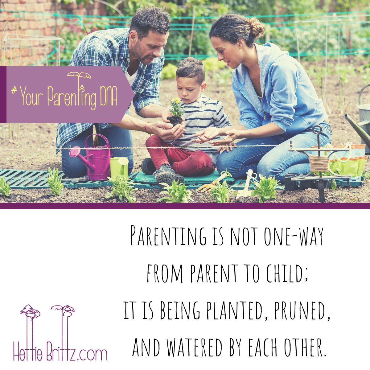 Hettie Brittz (@hettiebrittz) on Twitter photo 