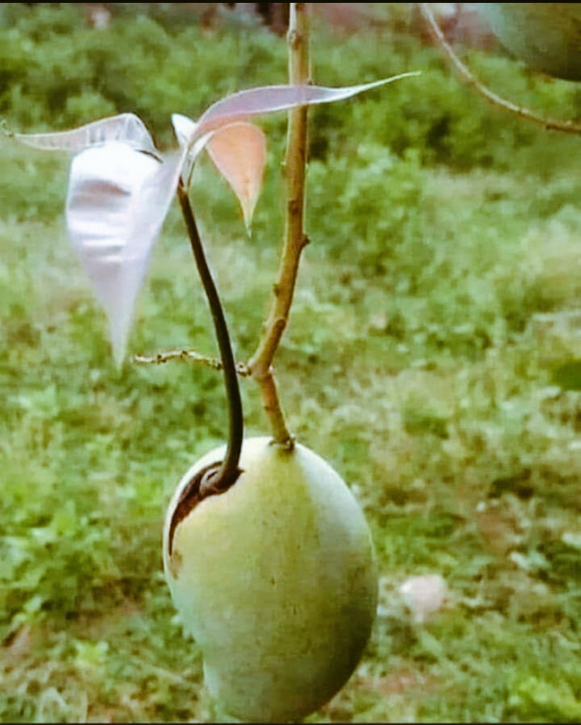 PCMeena0777's tweet photo. हौंसला होना चाहिए, जिंदगी कही से भी शुरू की जा सकती है।....!!! https://t.co/7g9Uzn0Xhz